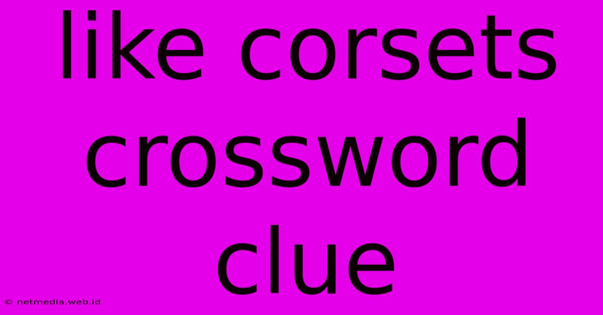 Like Corsets Crossword Clue