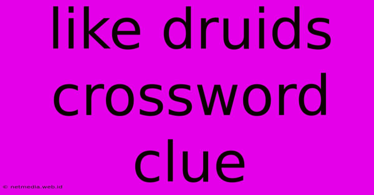 Like Druids Crossword Clue