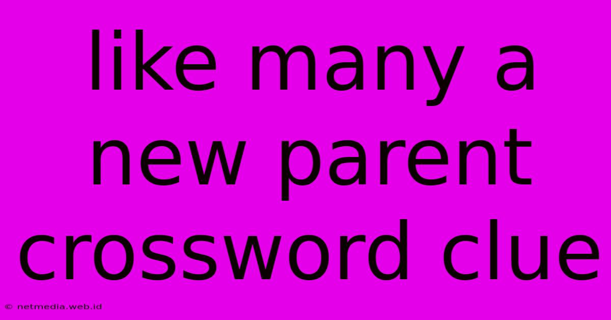 Like Many A New Parent Crossword Clue