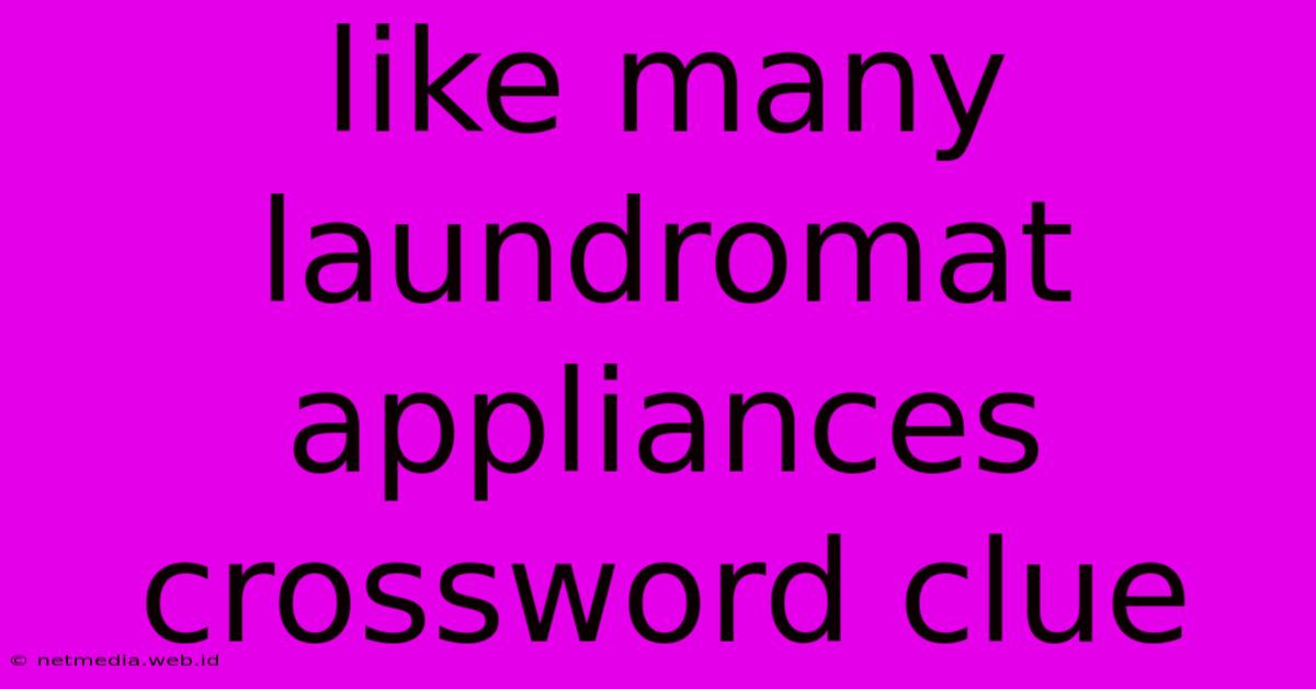 Like Many Laundromat Appliances Crossword Clue