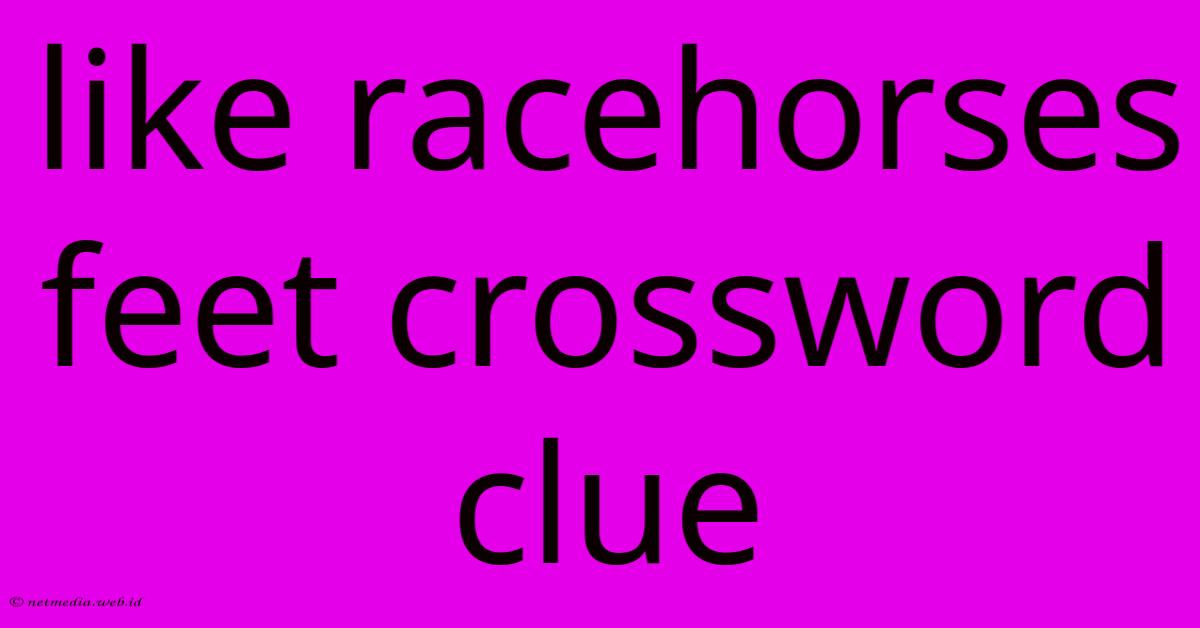 Like Racehorses Feet Crossword Clue