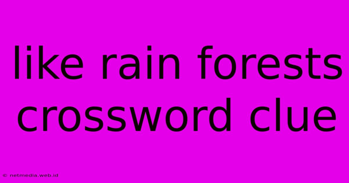 Like Rain Forests Crossword Clue