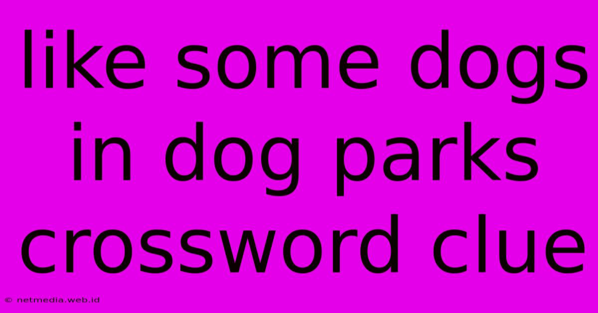 Like Some Dogs In Dog Parks Crossword Clue