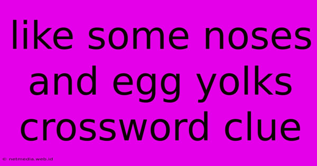 Like Some Noses And Egg Yolks Crossword Clue