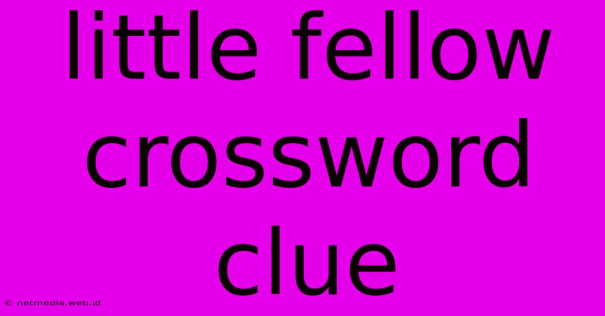 Little Fellow Crossword Clue