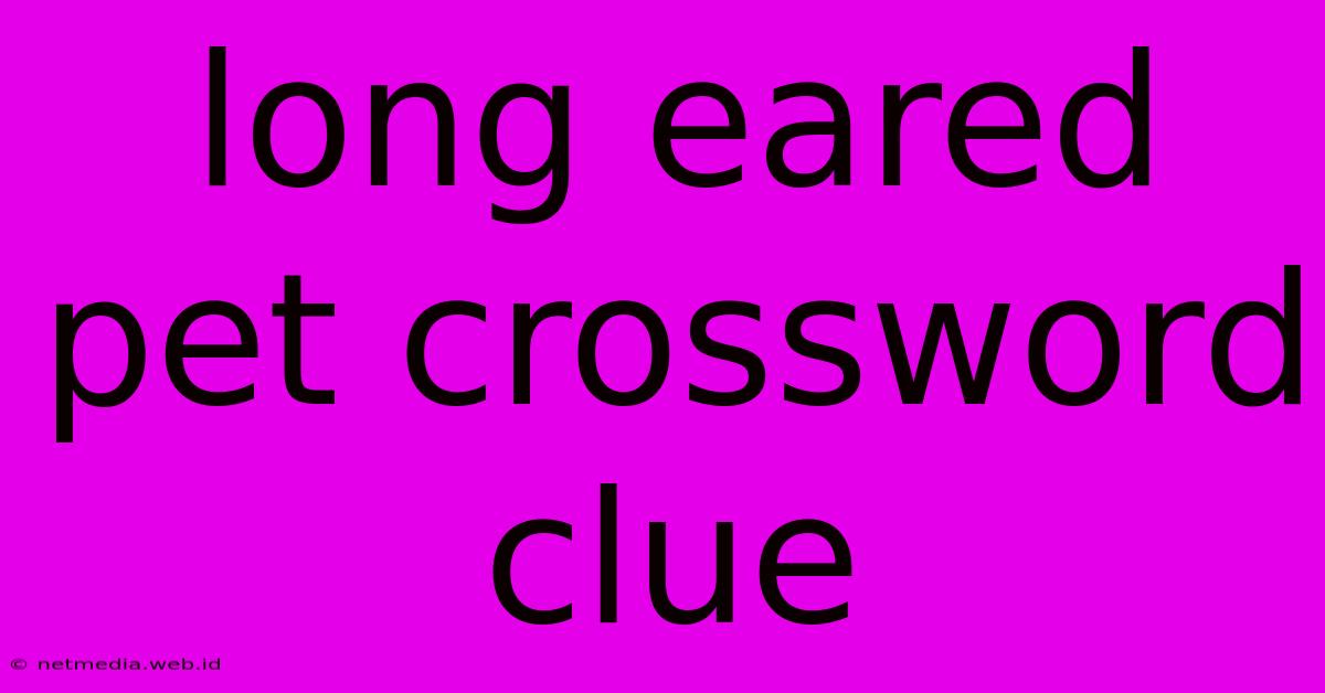 Long Eared Pet Crossword Clue