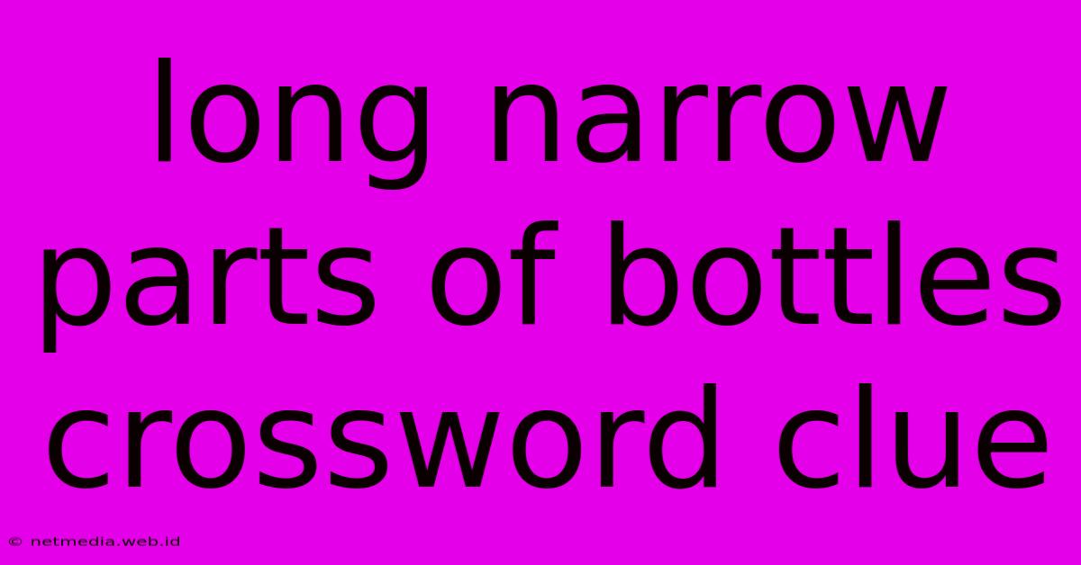 Long Narrow Parts Of Bottles Crossword Clue