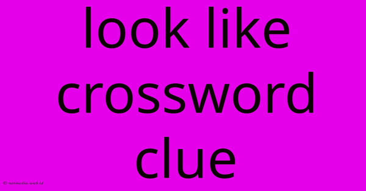 Look Like Crossword Clue