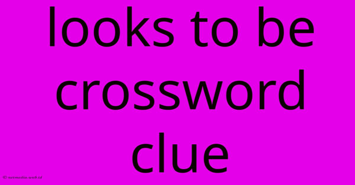 Looks To Be Crossword Clue Looks To Be Crossword Clue