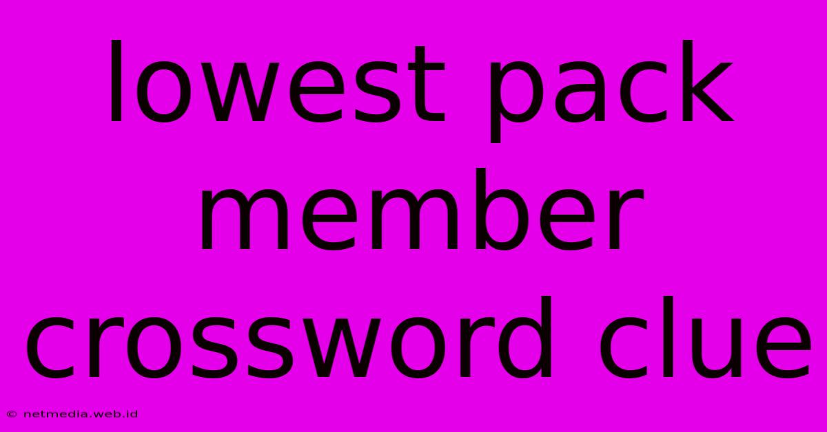 Lowest Pack Member Crossword Clue