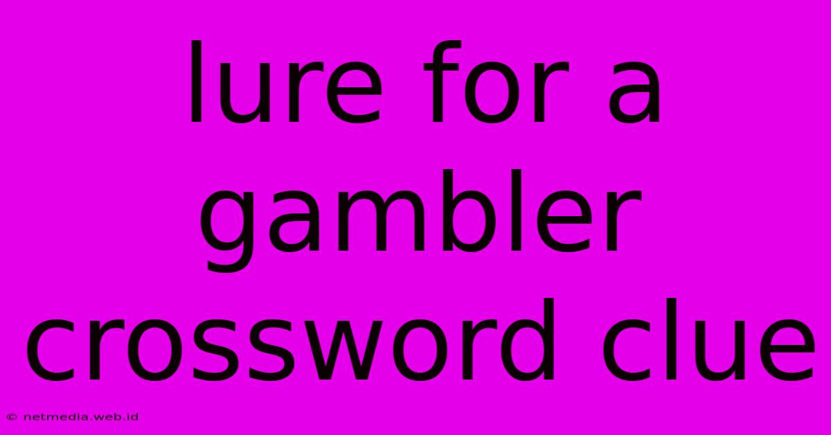 Lure For A Gambler Crossword Clue