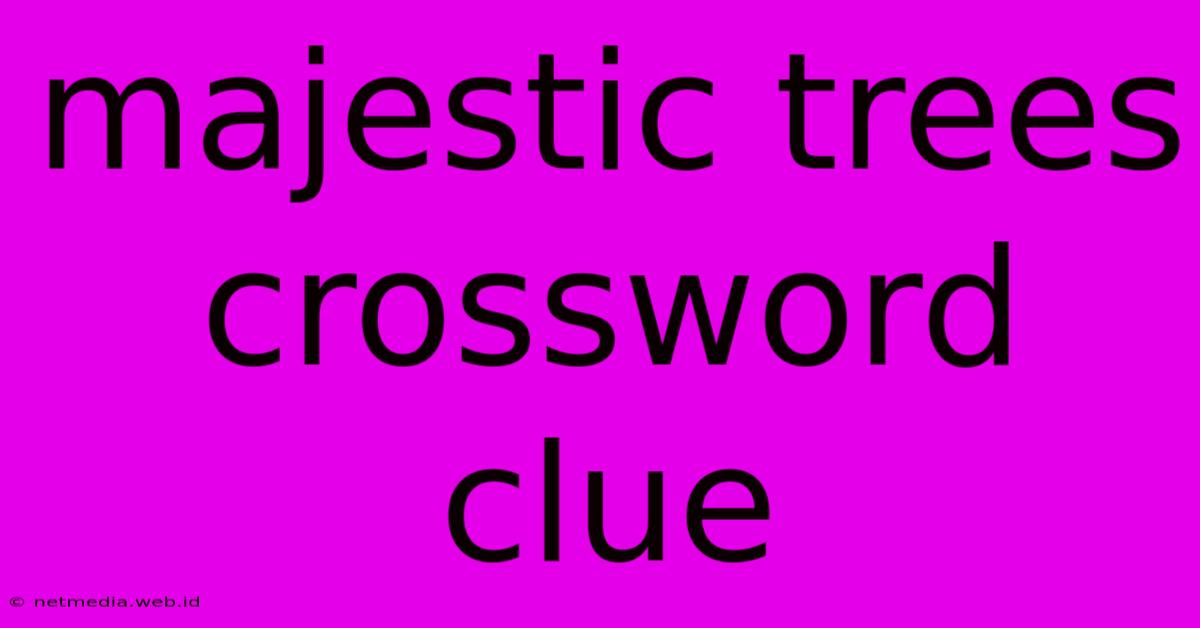 Majestic Trees Crossword Clue