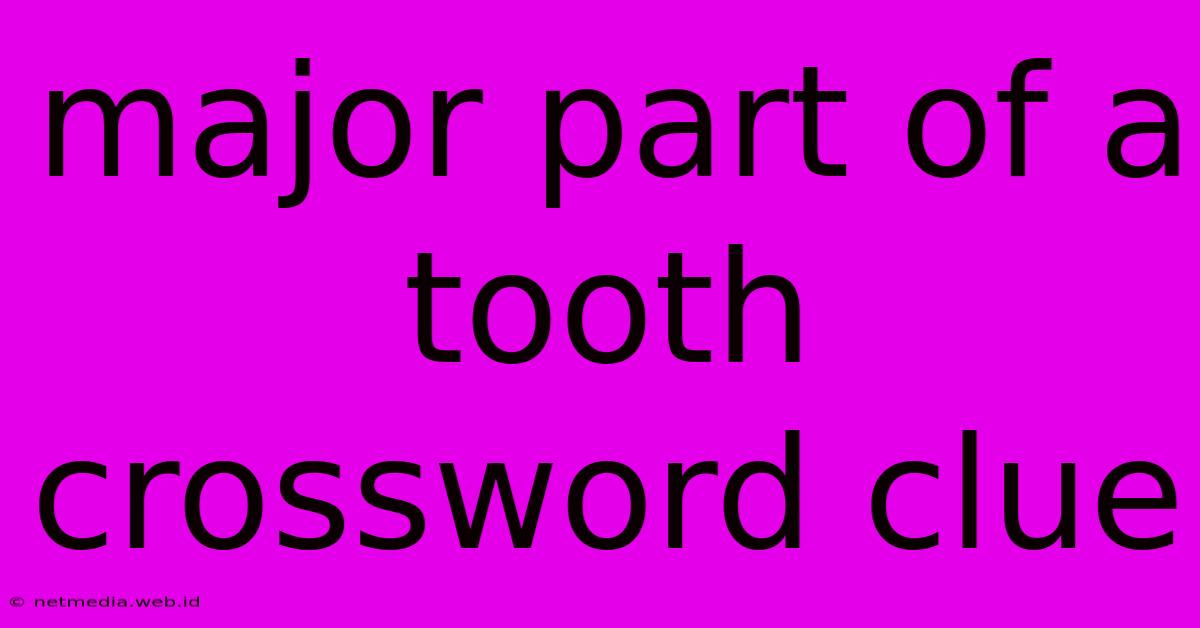 Major Part Of A Tooth Crossword Clue