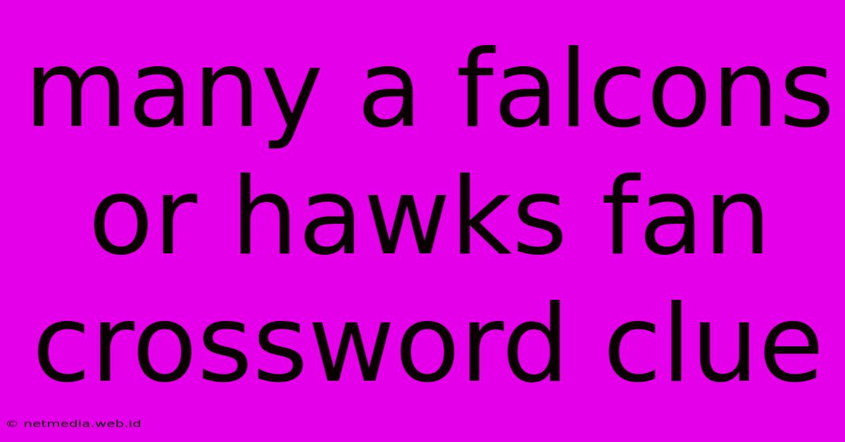 Many A Falcons Or Hawks Fan Crossword Clue