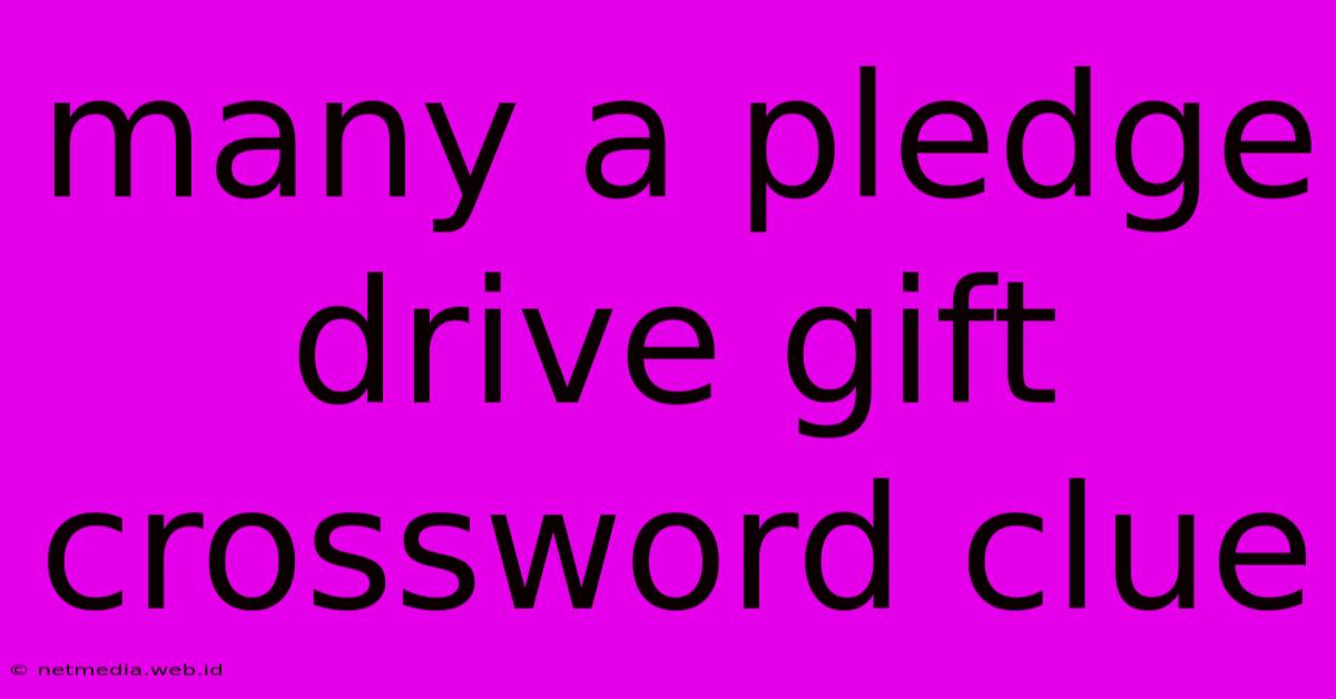 Many A Pledge Drive Gift Crossword Clue