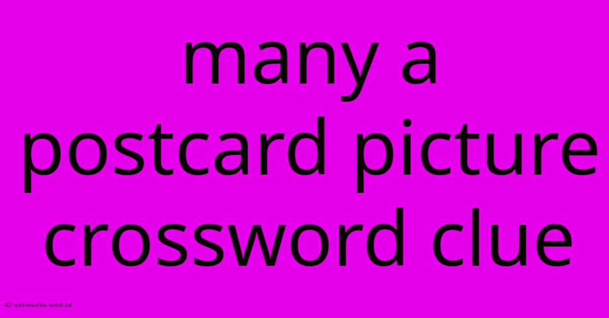 Many A Postcard Picture Crossword Clue Many A Postcard Picture Crossword Clue