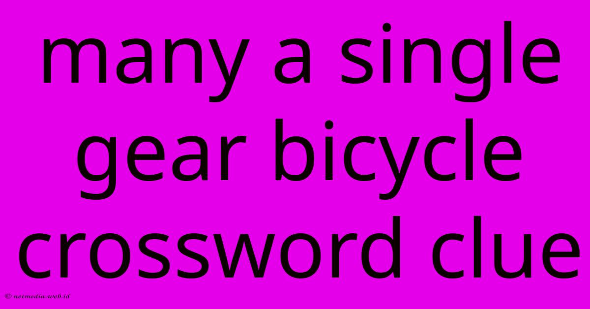 Many A Single Gear Bicycle Crossword Clue