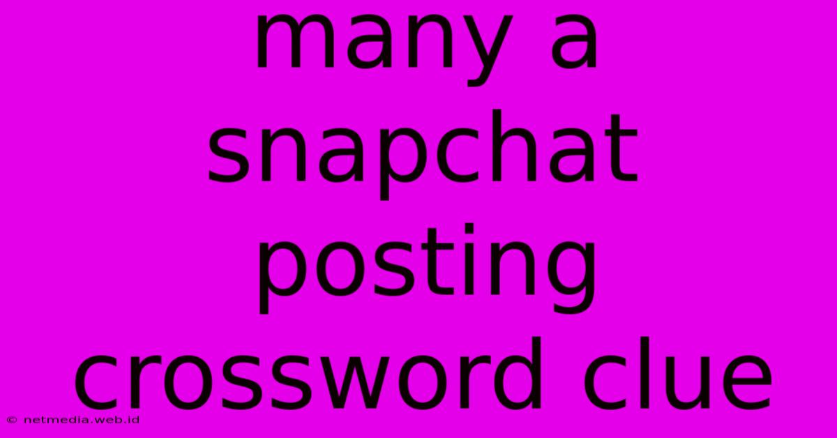 Many A Snapchat Posting Crossword Clue