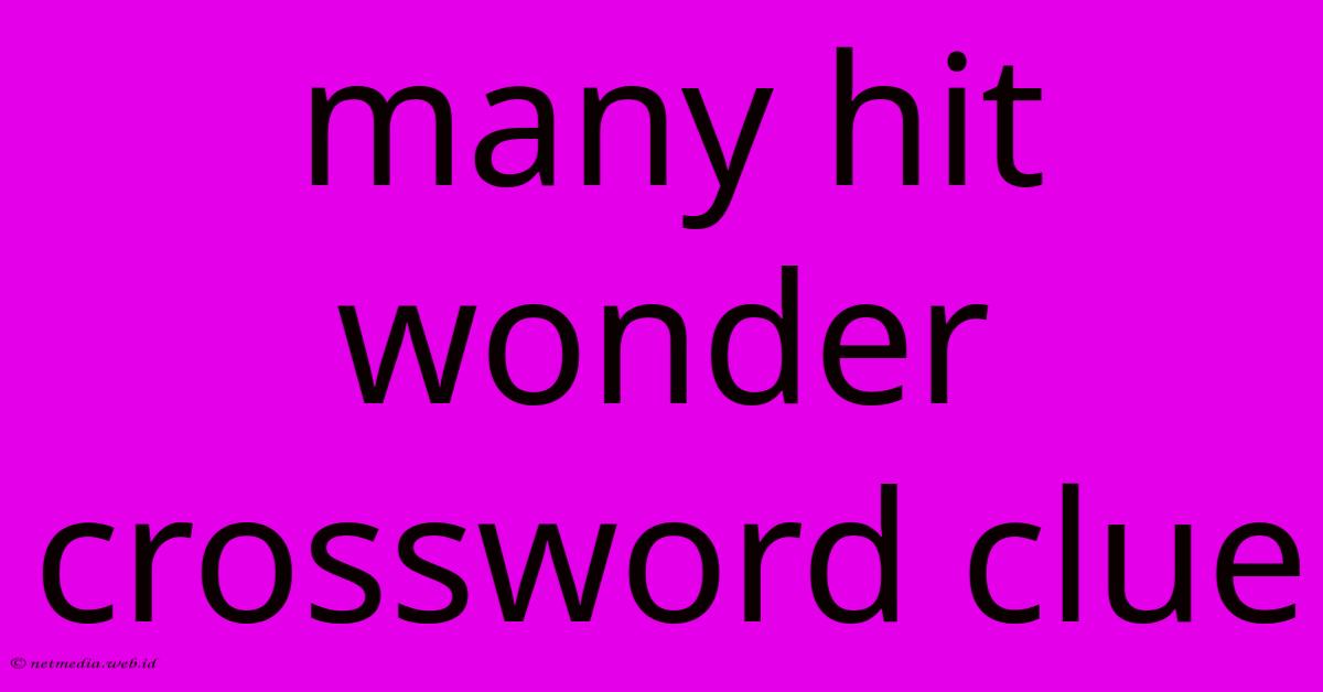 Many Hit Wonder Crossword Clue