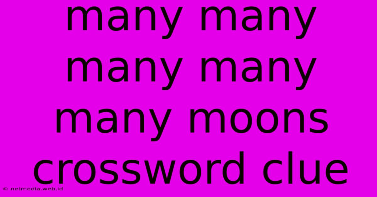 Many Many Many Many Many Moons Crossword Clue