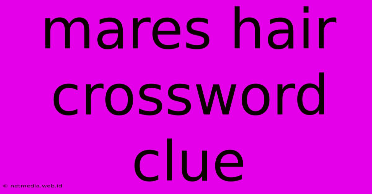 Mares Hair Crossword Clue