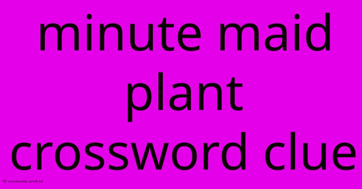 Minute Maid Plant Crossword Clue Minute Maid Plant Crossword Clue