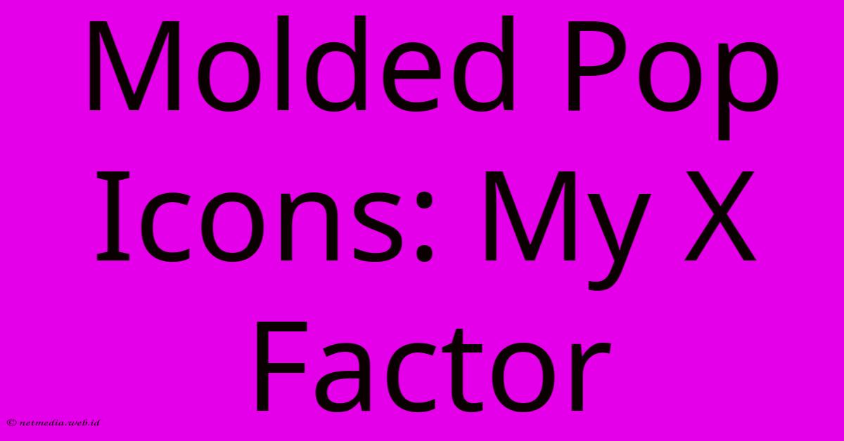 Molded Pop Icons: My X Factor Molded Pop Icons: My X Factor
