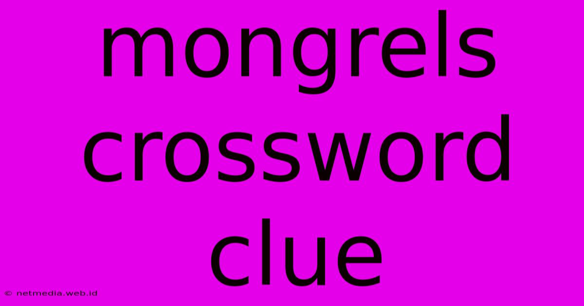 Mongrels Crossword Clue