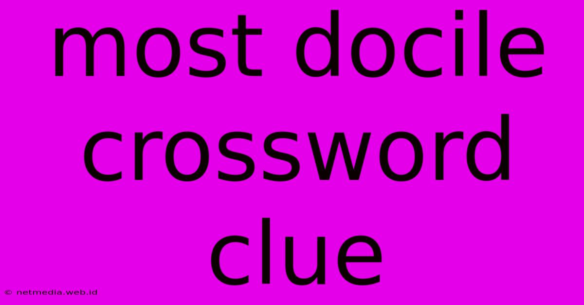 Most Docile Crossword Clue