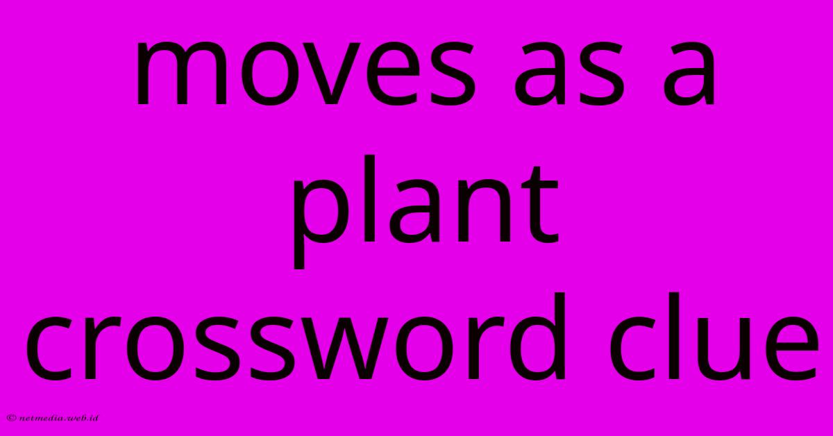 Moves As A Plant Crossword Clue Moves As A Plant Crossword Clue