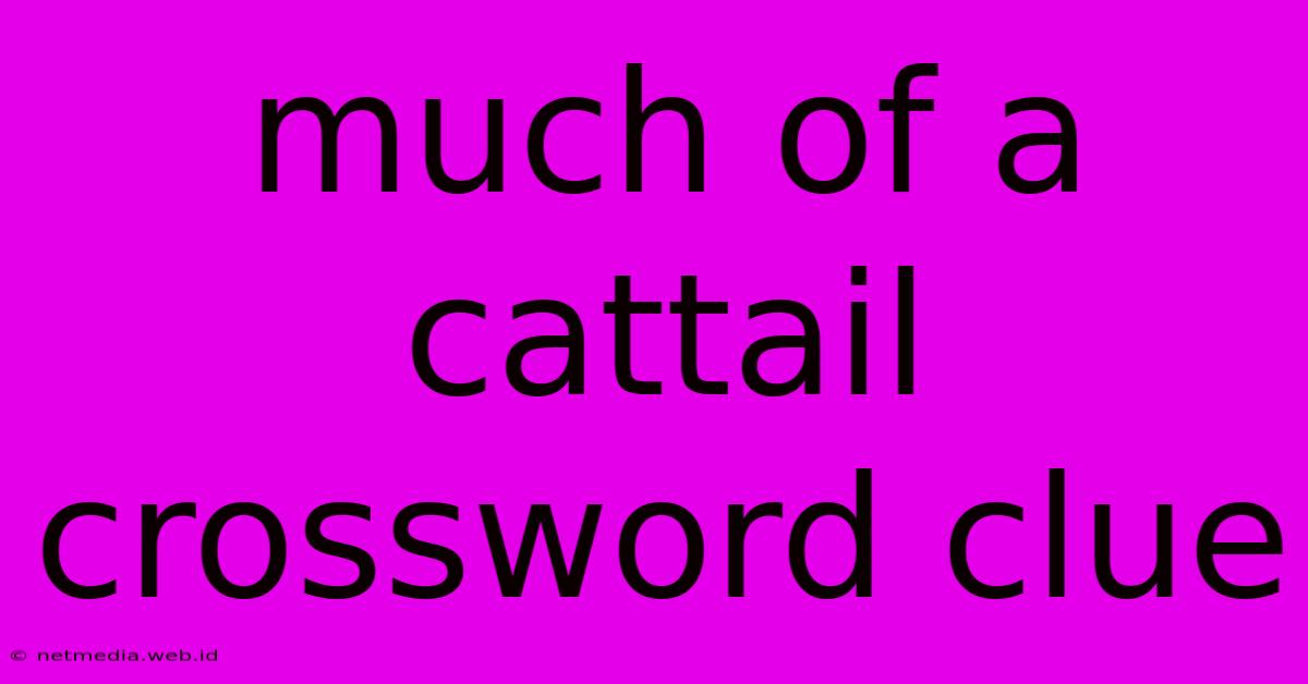 Much Of A Cattail Crossword Clue