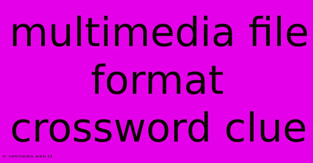 Multimedia File Format Crossword Clue