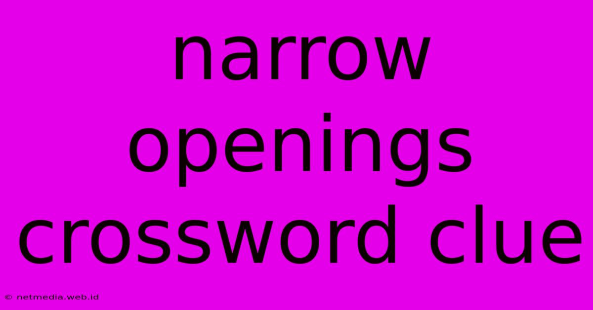 Narrow Openings Crossword Clue