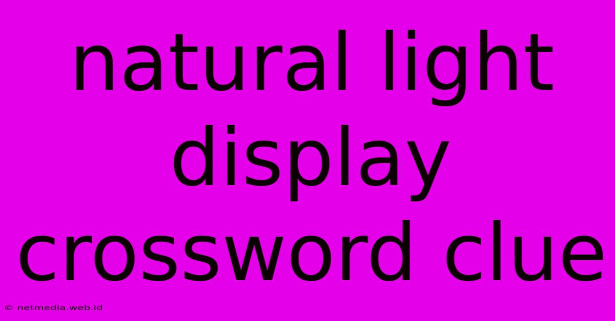 Natural Light Display Crossword Clue