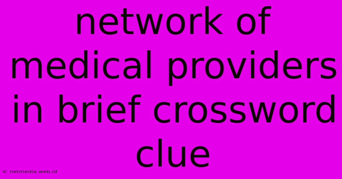 Network Of Medical Providers In Brief Crossword Clue