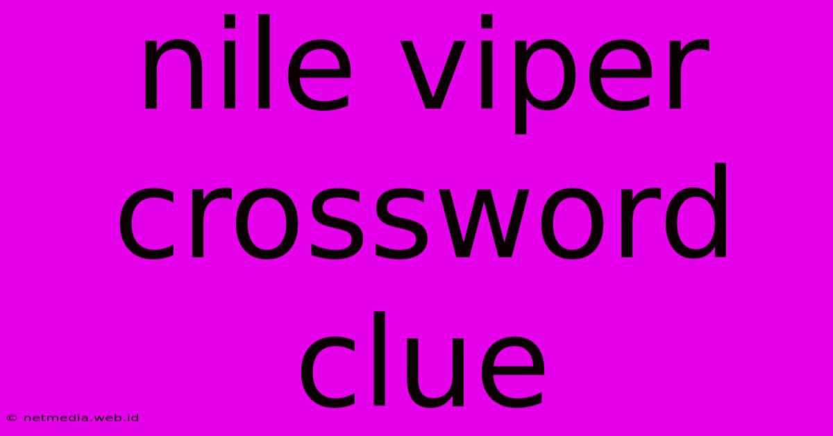 Nile Viper Crossword Clue