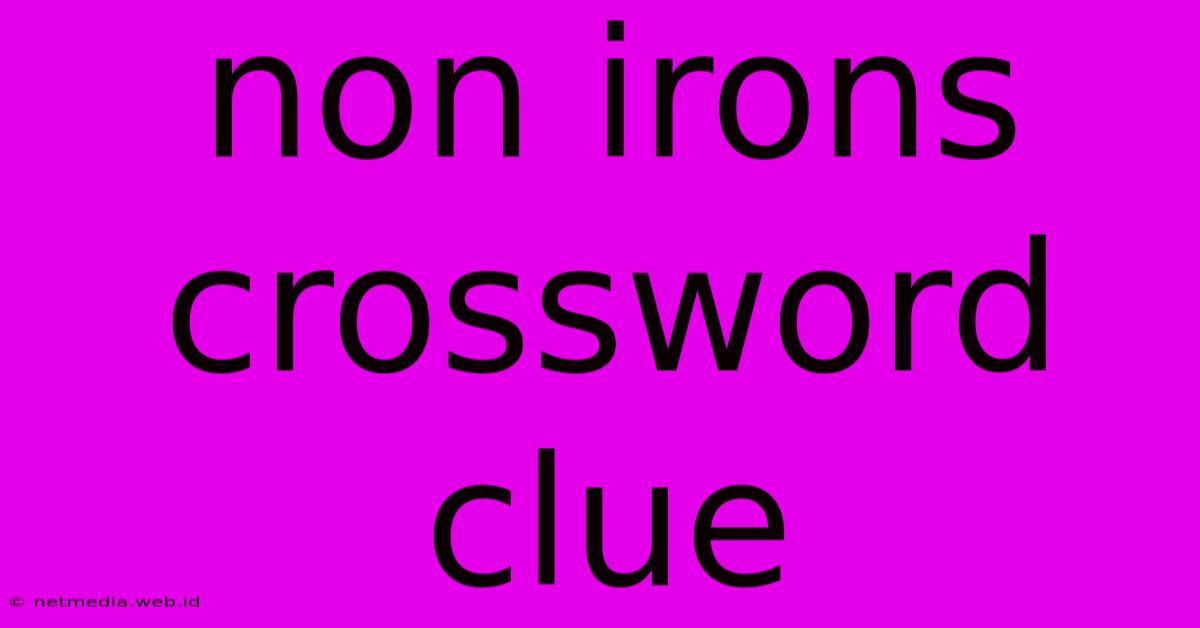 Non Irons Crossword Clue