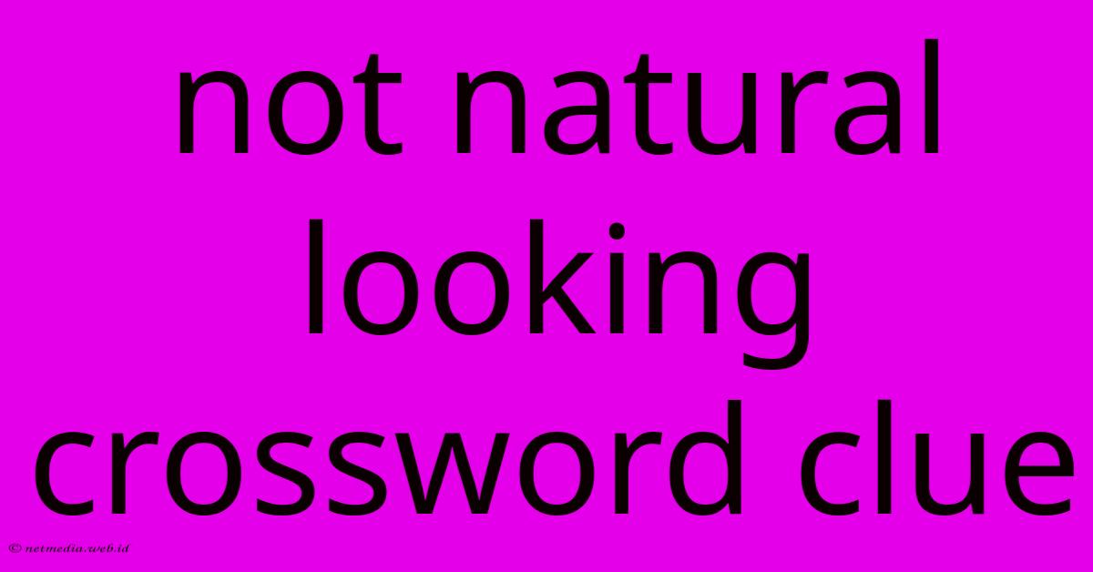 Not Natural Looking Crossword Clue