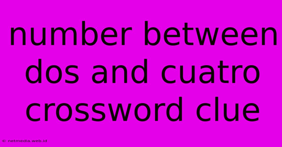 Number Between Dos And Cuatro Crossword Clue