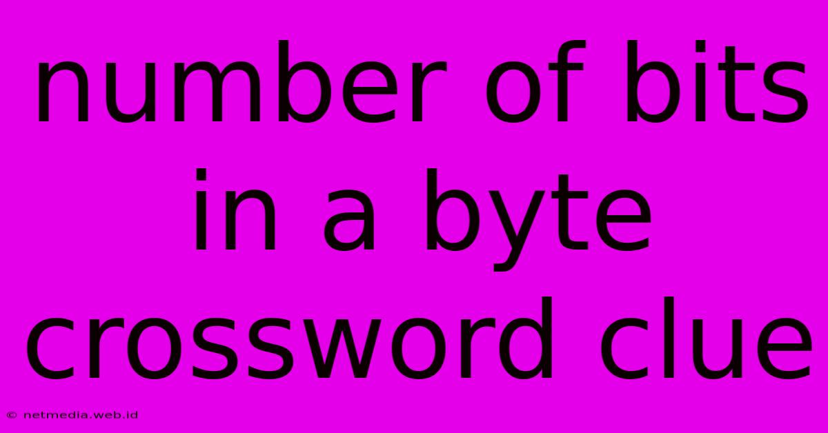 Number Of Bits In A Byte Crossword Clue