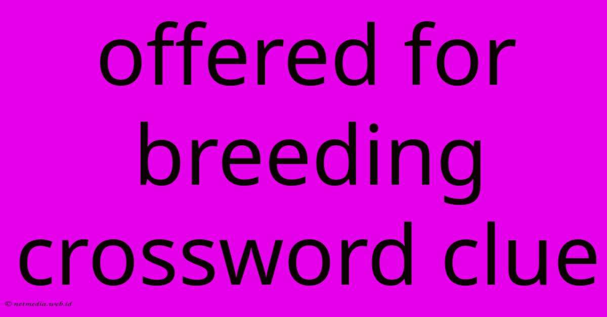 Offered For Breeding Crossword Clue Offered For Breeding Crossword Clue