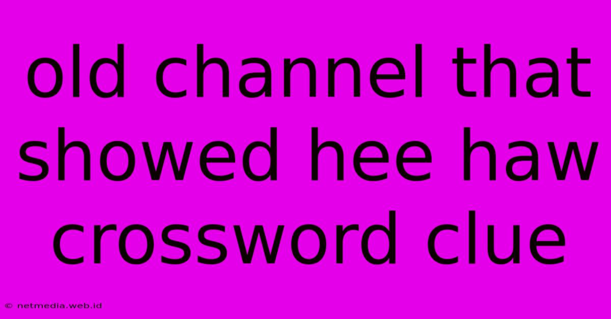 Old Channel That Showed Hee Haw Crossword Clue