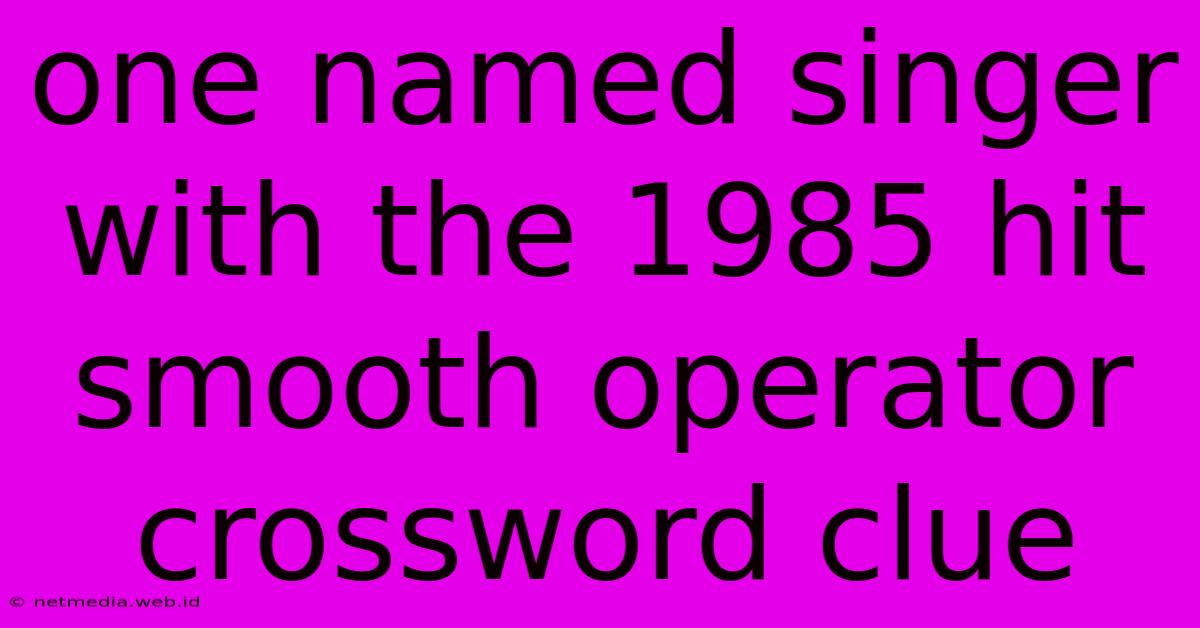 One Named Singer With The 1985 Hit Smooth Operator Crossword Clue