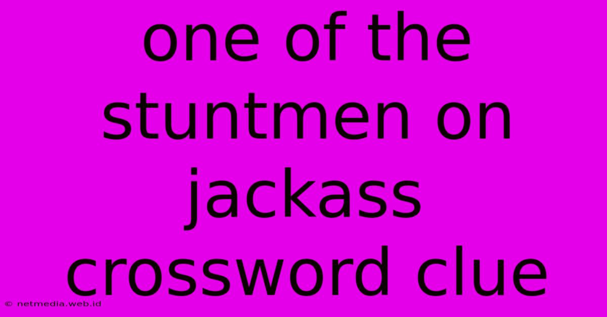 One Of The Stuntmen On Jackass Crossword Clue