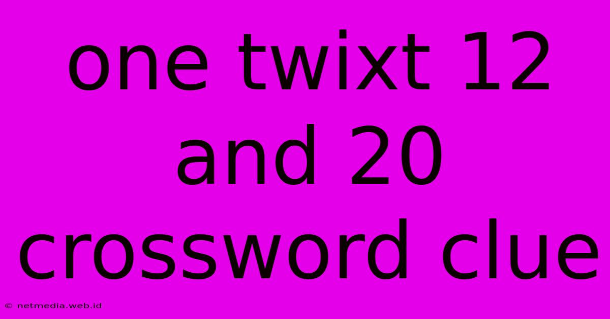 One Twixt 12 And 20 Crossword Clue