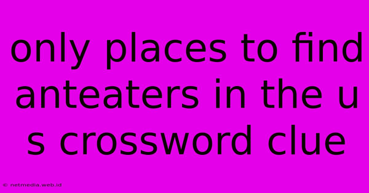 Only Places To Find Anteaters In The U S Crossword Clue