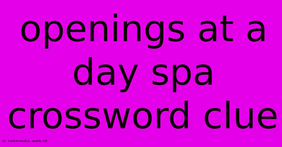 Openings At A Day Spa Crossword Clue