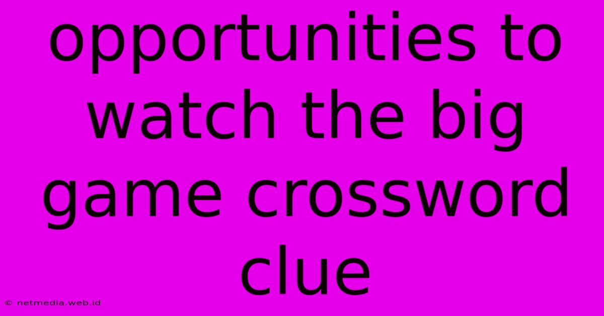 Opportunities To Watch The Big Game Crossword Clue