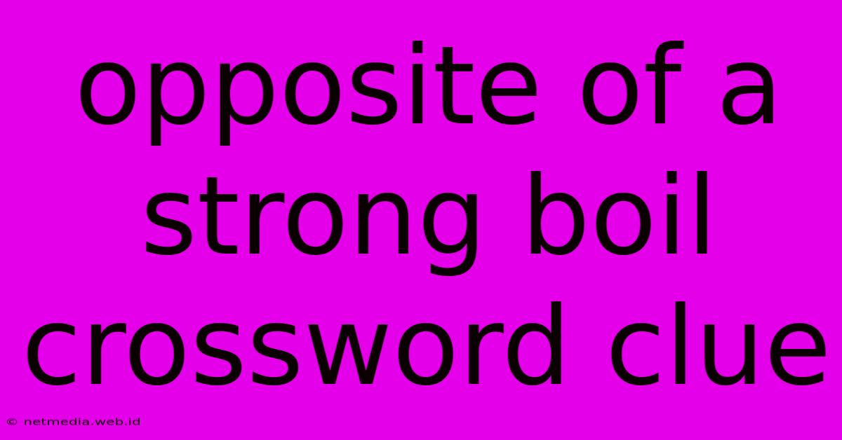 Opposite Of A Strong Boil Crossword Clue