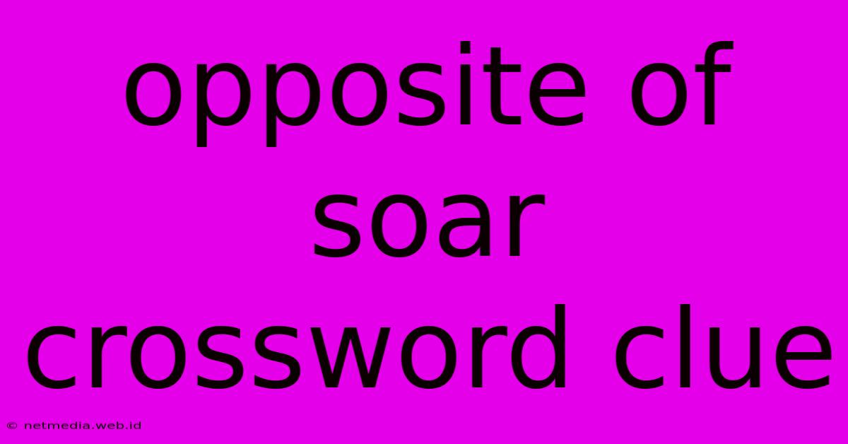 Opposite Of Soar Crossword Clue